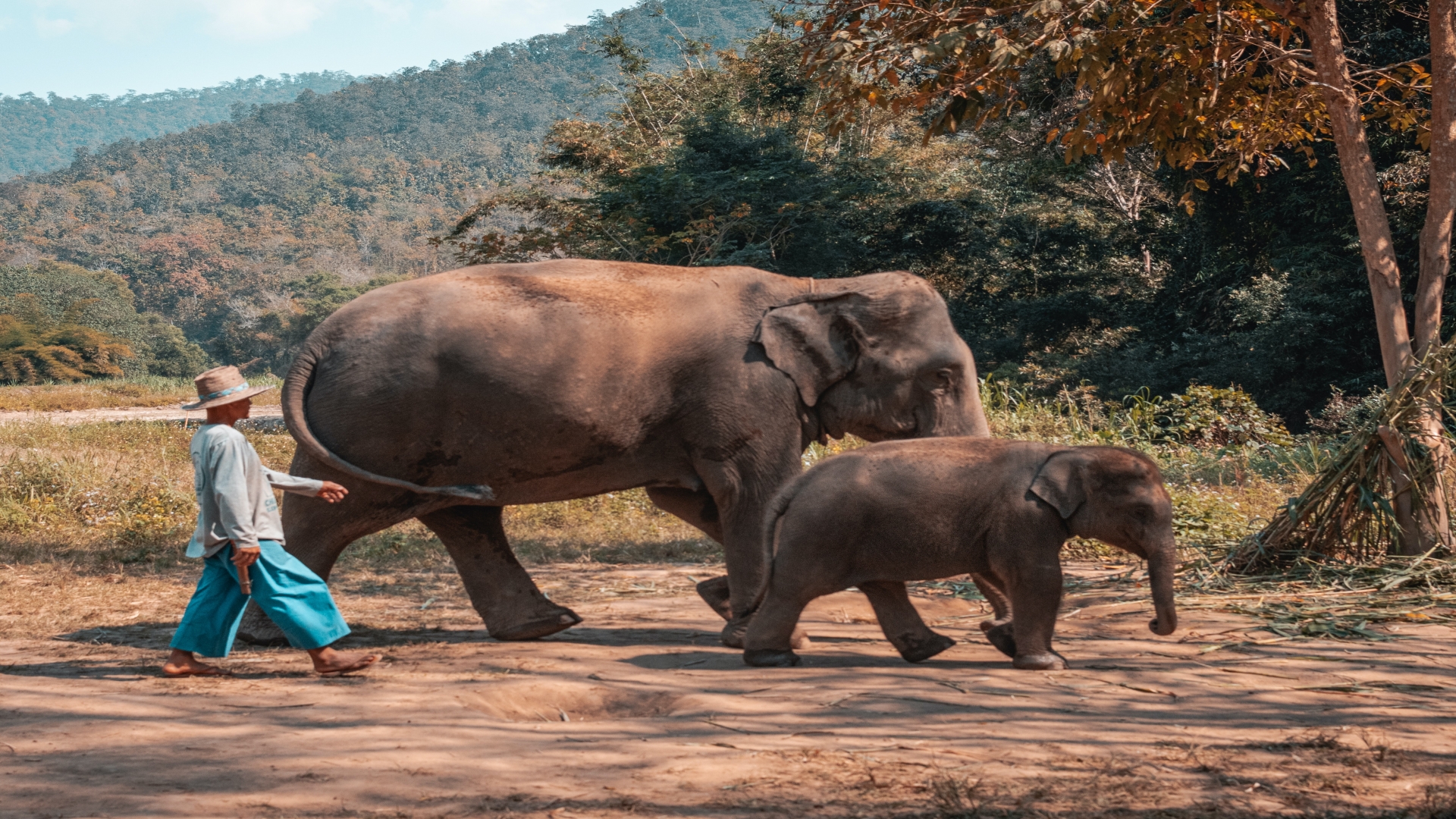 Chiang Mai